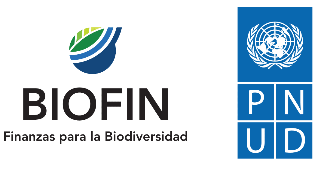 Logo de Biofin - PNUD